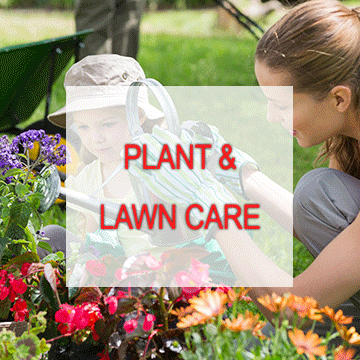 Plant and Lawn Care