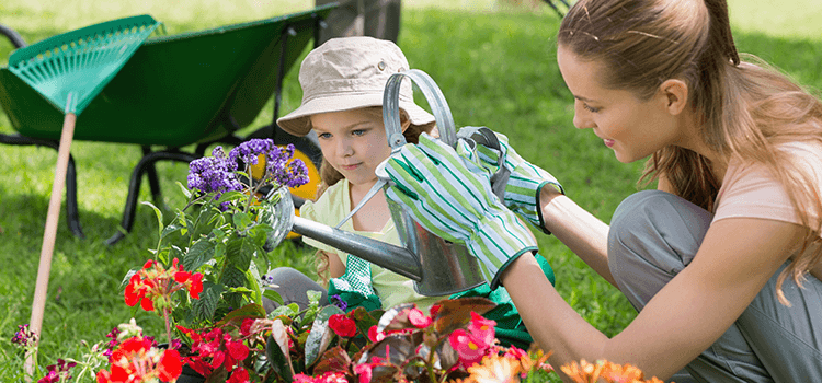 Lawn and Plant Care